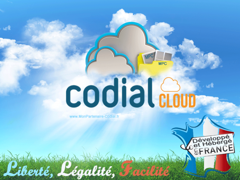 Codial en local, en cloud ou en web : la liberté de choisir son ERP
