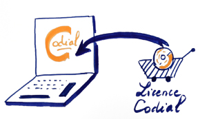 Choisir ma licence Codial